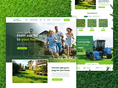 Natural Turf Grass E-Commerce Website