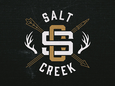 Salt Creek Logo branding design logo
