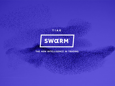 Swarm Branding For TransIndex algorithm brand finance lockup logo logomark nature swarm