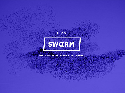 Swarm Branding For TransIndex