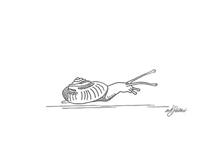 Snail animal animation crawling liner nature sketch snail storyboard иллюстрация милый персонаж