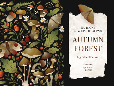 Autumn Forest. Big Graphic Set.