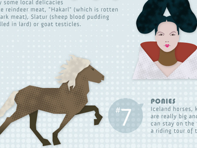 Infographic on Reykjavik Iceland close up bjork iceland infographic ponies