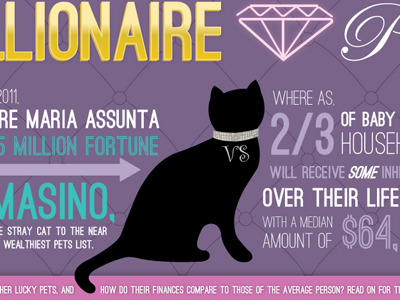 Infographic On Wealthy Pets cats dogs infographic infographics paris hilton pets wealth