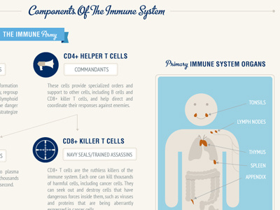 Infographic On Immunotherapy: Two cancer health immune system immunotherapy infographic science