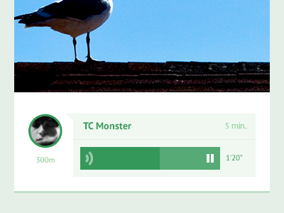 Voice Info avatar chat feed flat info lbs picture play ui voice