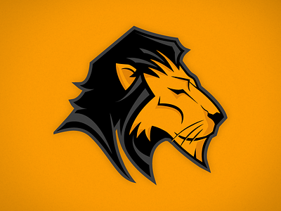Lion Concept illustration lion sports