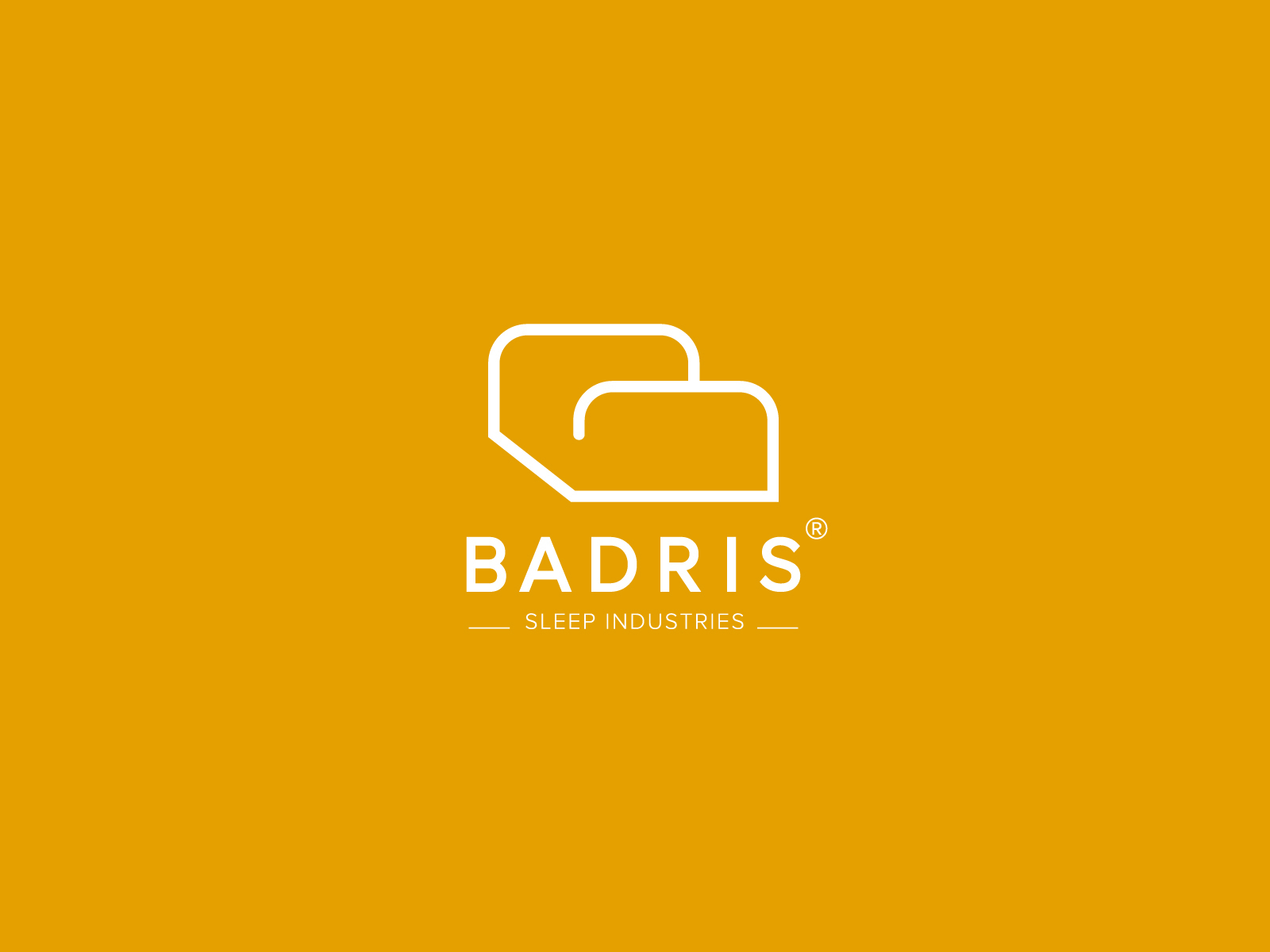 Badris Logo Design by ABOUZAR MOHAMMADI on Dribbble