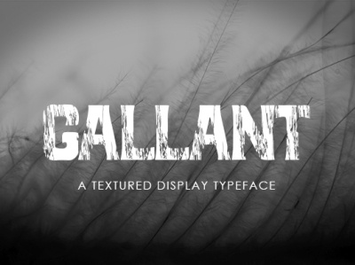 Gallant - A Textured Display Font