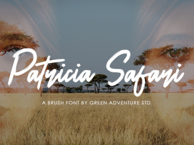 Patricia Safari - A Brush Font beautifull branding community design font font design handlettering handmade illustration lettering typography