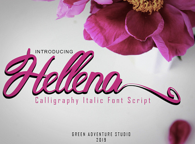 Hellena Italic-Calligraphy Italic Font Script 2019 adobe illustrator beautifull font design handlettering handmade illustration lettering typography