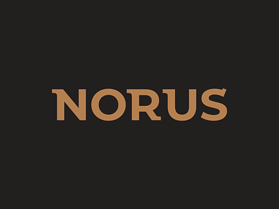 NORUS design logo logo design norus