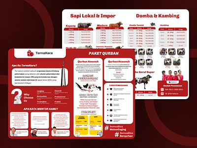 TernaKara Brochure Qurban - Graphic Design branding brochure figma graphic design pamflet photoshop
