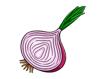 Onion 01 Vector Illustration