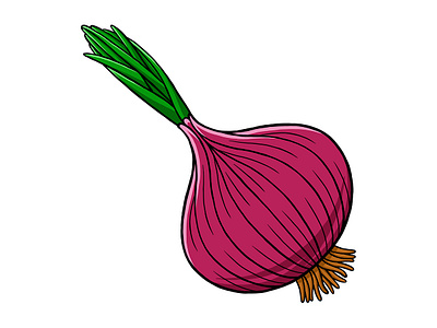 Onion 02 Vector Illustration food fresh healthy illustration ingredient isolated onion plant set slice vector vegetable