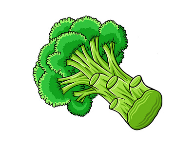 Broccoli Vector Illustration broccoli diet food fresh healthy illustration natural nature organic vector vegetable vegetarian