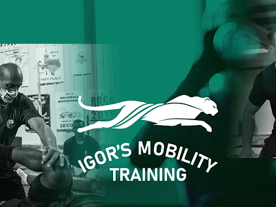 Visual Identity for Igor's Mobility Training branding design logo typography