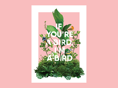 Photo Collage Poster bird collage green nature pink plants poster