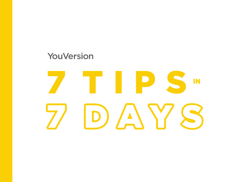 7-tips-in-7-days-by-jordan-wiseman-on-dribbble