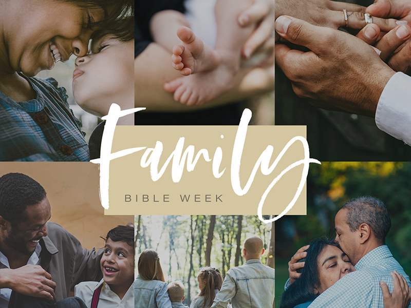 YouVersion Family Bible Week - 2018 by Jordan Wiseman on Dribbble