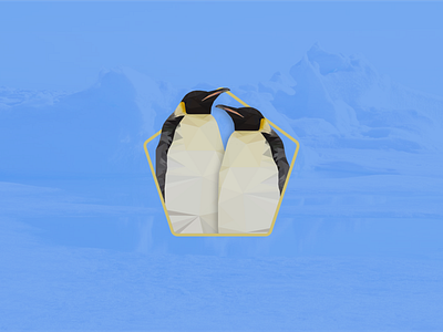 Pingu design illustration lowpoly pinguin