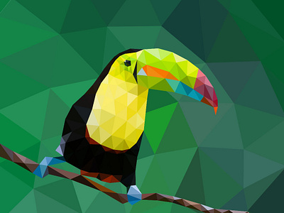 Lowpoly Toucan adobe illustrator bird bird illustration illustration lowpoly lowpolyart toucan vector webdesign