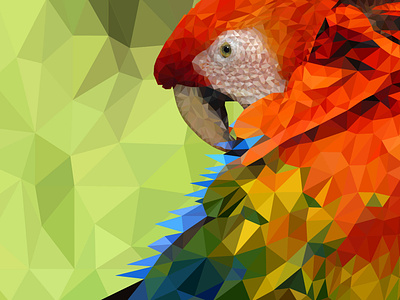 Parrot art colorful colors design illustration lowpolyart nature parrot vector web
