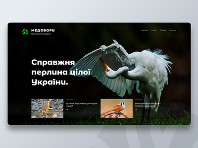 Medobory Nature Reserve website design figma logo ui ux web webdesign website