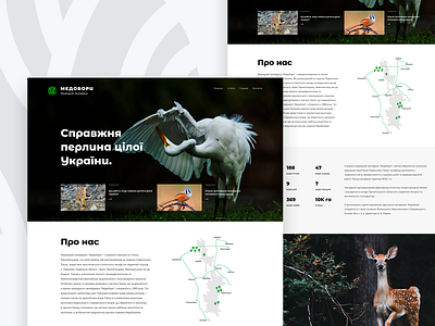 Medobory Nature Reserve website design figma nature ui ux web webdesign website