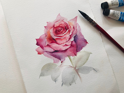 watercolor rose