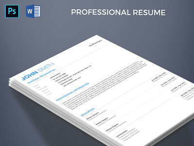 Professional Resume cv data design document graphic infographic layout microsoft photoshop resume template word