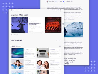 Reader - New Stories article design landing new page product read sketch stories story web webdesign