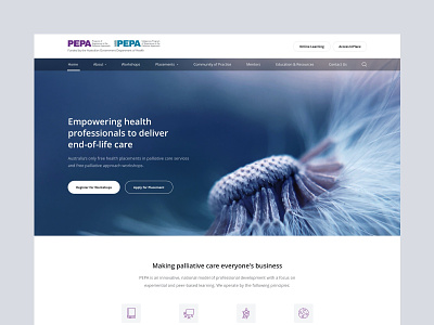 PEPA Education design health minimal ui ux website