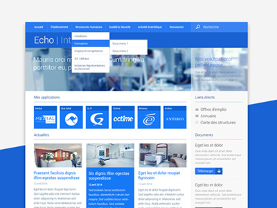 ECHO Intranet flat interface intranet medicine ui