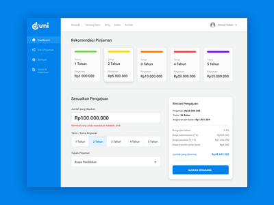 Dumi - Loan App Dashboard