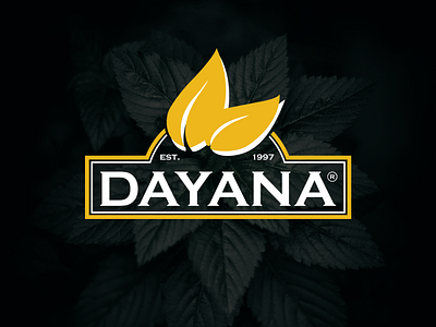 Dayana branding logo logo design retro typogaphy vintage