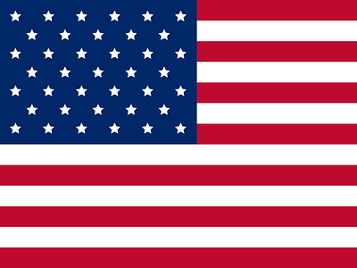 American Flag design flat illustration vector