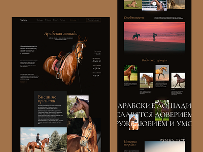 Landing Page TOP Horse design landing minimal trend typography ui web website