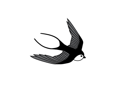 Swallow illustration tattoo