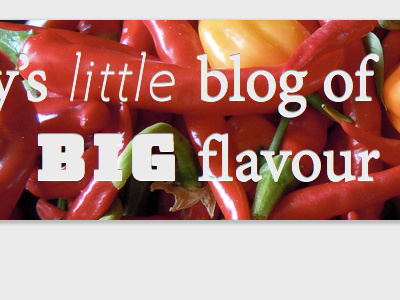 Flavour Blog hypatia sans ltc squareface minion pro typography website