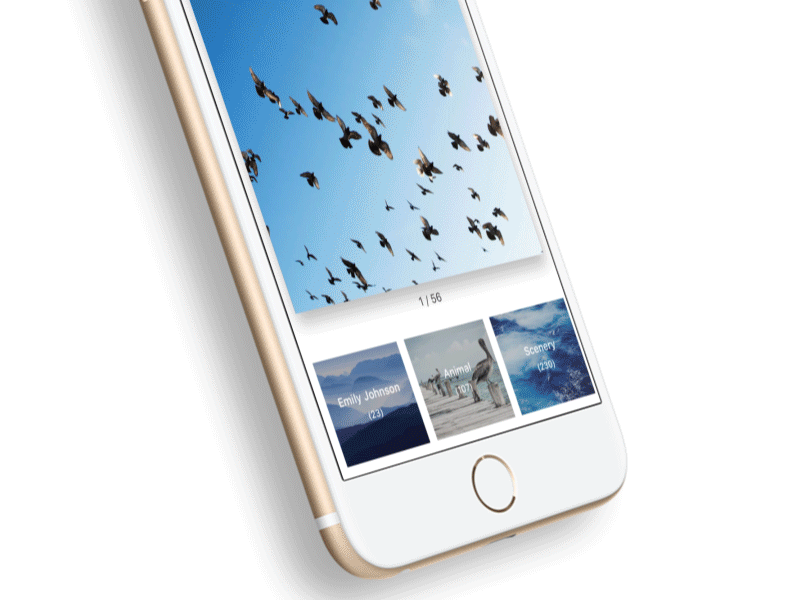 Albums ae albums animation app design gif ios sketch ui ux