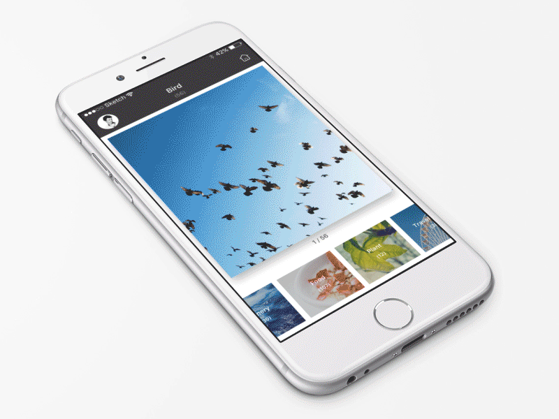 Album View animations ae albums animation app design gif ios sketch ui ux