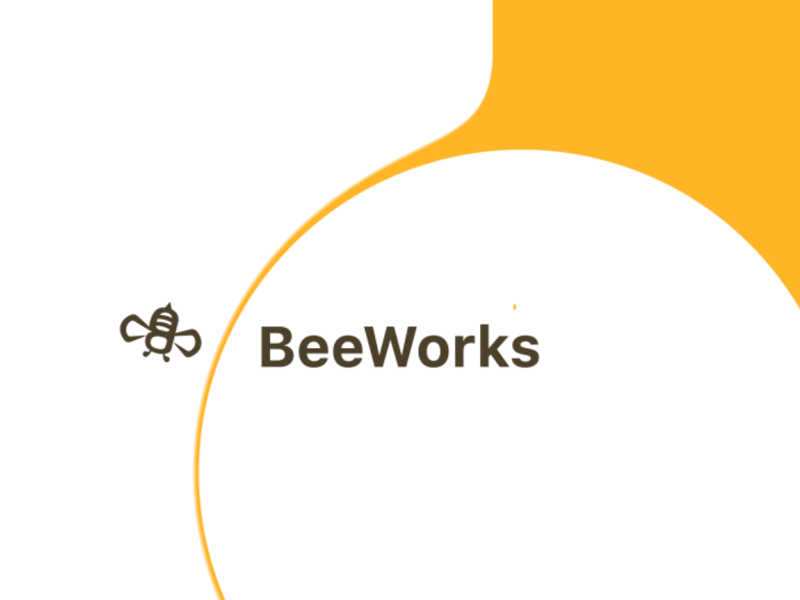 Beeworks ae animation bee branding design hive logo ux