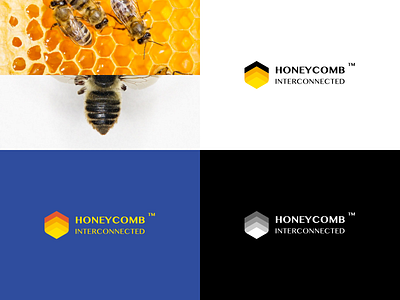 Honeycomb branding design flat honeycomb illustration logo