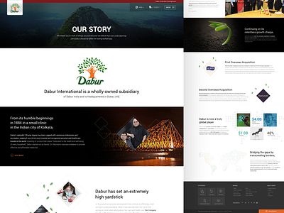 Dabur International - About us page about us clean creative ui ux web design