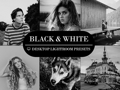 4 Lightroom Desktop Presets