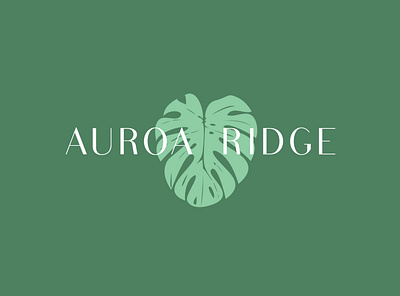 Auroa Ridge - Brand Identity beauty brand branding branding design clean cosmetics identity logo logo design logodesign monstera organic plant simple skincare sustainable