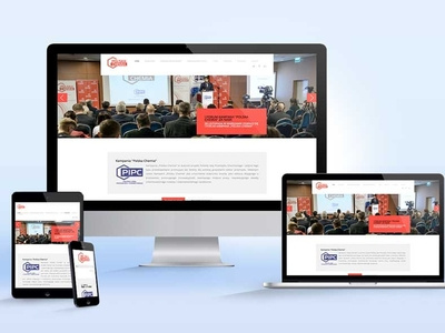 Polskachemia website design web
