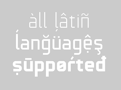 Over 220 languages font font design font family fonts international latin lettering plain technical typography world wide