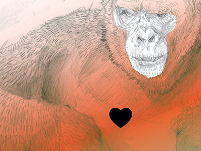 Gorilla in love book design drawing graphic design illustration